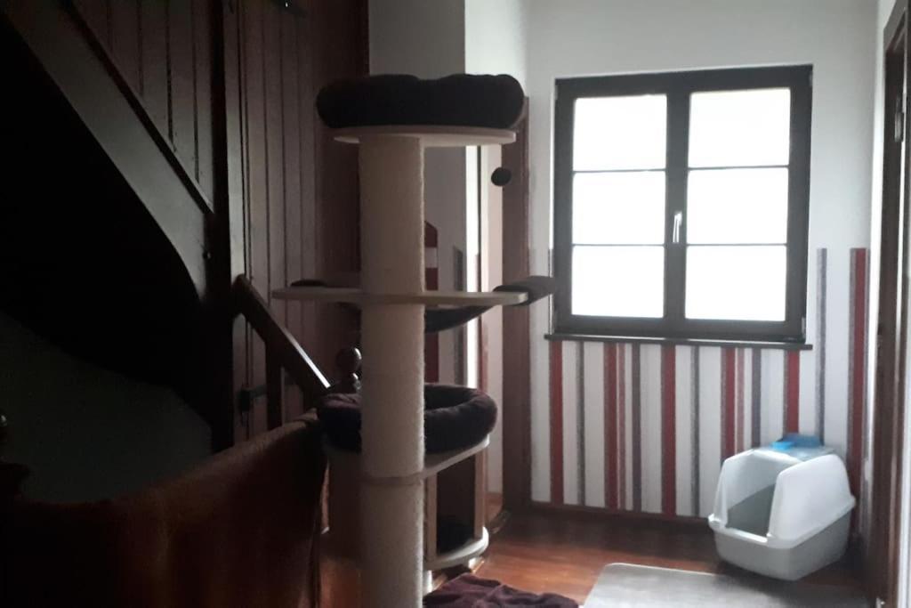 Private Room In Our Home With Free Vvo Ticket & Cats 皮尔纳 外观 照片